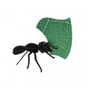 Assembli paper 3 Leafcutter Ants