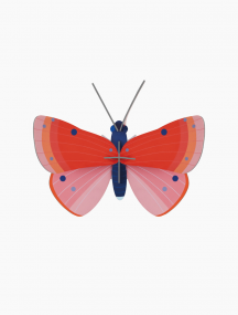 Studio Roof wanddecoratie Speckled Copper vlinder