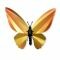 Assembli Birdwing vlinder zonnig geel