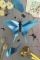 Assembli Swordtail butterfly 3D insect